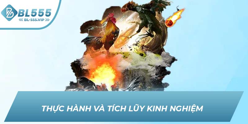 Thực hành và tích lũy kinh nghiệm 